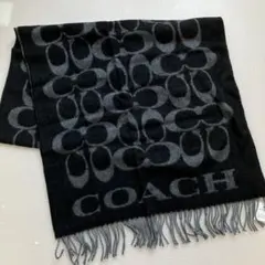 2026年最新】アウトレット品 コーチ ストールの人気アイテム - メルカリ