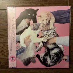 2026年最新】きのこ帝国 猫とアレルギーの人気アイテム - メルカリ