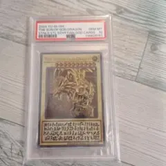 2026年最新】三幻神 ステンレス psa10の人気アイテム - メルカリ