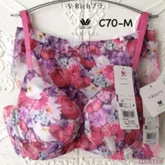 2026年最新】ワコールパルファージュVリッチブラの人気アイテム - メルカリ