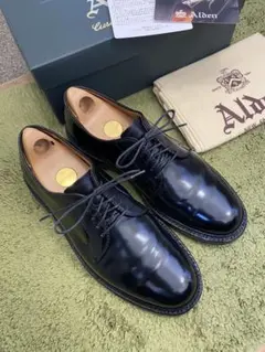 2026年最新】Alden 9901の人気アイテム - メルカリ