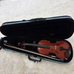 2026年最新】grazioso バイオリンの人気アイテム - メルカリ