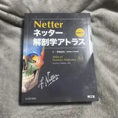 2026年最新】ネッター解剖学アトラス 7版の人気アイテム - メルカリ