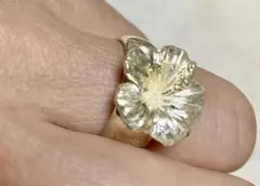 2026年最新】alba rosa シルバーリングの人気アイテム - メルカリ