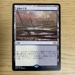 2026年最新】湿地の干潟/marsh flatsの人気アイテム - メルカリ