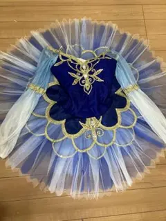 2026年最新】バレエ衣装ライモンダの人気アイテム - メルカリ