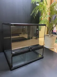 2026年最新】温室 ガラスケースの人気アイテム - メルカリ