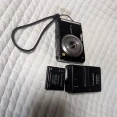 2026年最新】LUMIX DMC-FX55の人気アイテム - メルカリ