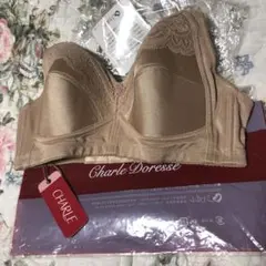 2026年最新】シャルレ ブラジャーの人気アイテム - メルカリ