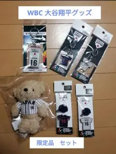 大谷翔平 FOCO社 ミニ ボブルヘッド WBC 完全個数限定版 2個セット