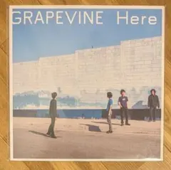 2026年最新】grapevine hereの人気アイテム - メルカリ