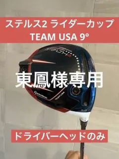 2026年最新】ステルス2 ドライバー ヘッド のみの人気アイテム - メルカリ