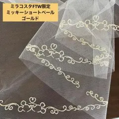 2026年最新】ミラコスタftwの人気アイテム - メルカリ