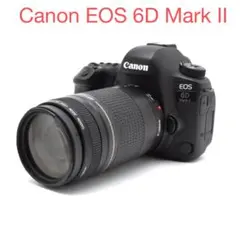 2026年最新】eos 6d mark ii ボディの人気アイテム - メルカリ