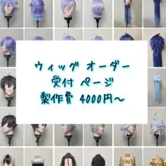 2026年最新】ウィッグオーダーの人気アイテム - メルカリ