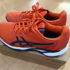 2026年最新】アシックス asics ソリューションスピードFFの人気