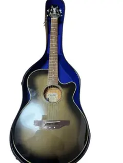 2026年最新】Cooder by Takamine アコースティックギターの人気