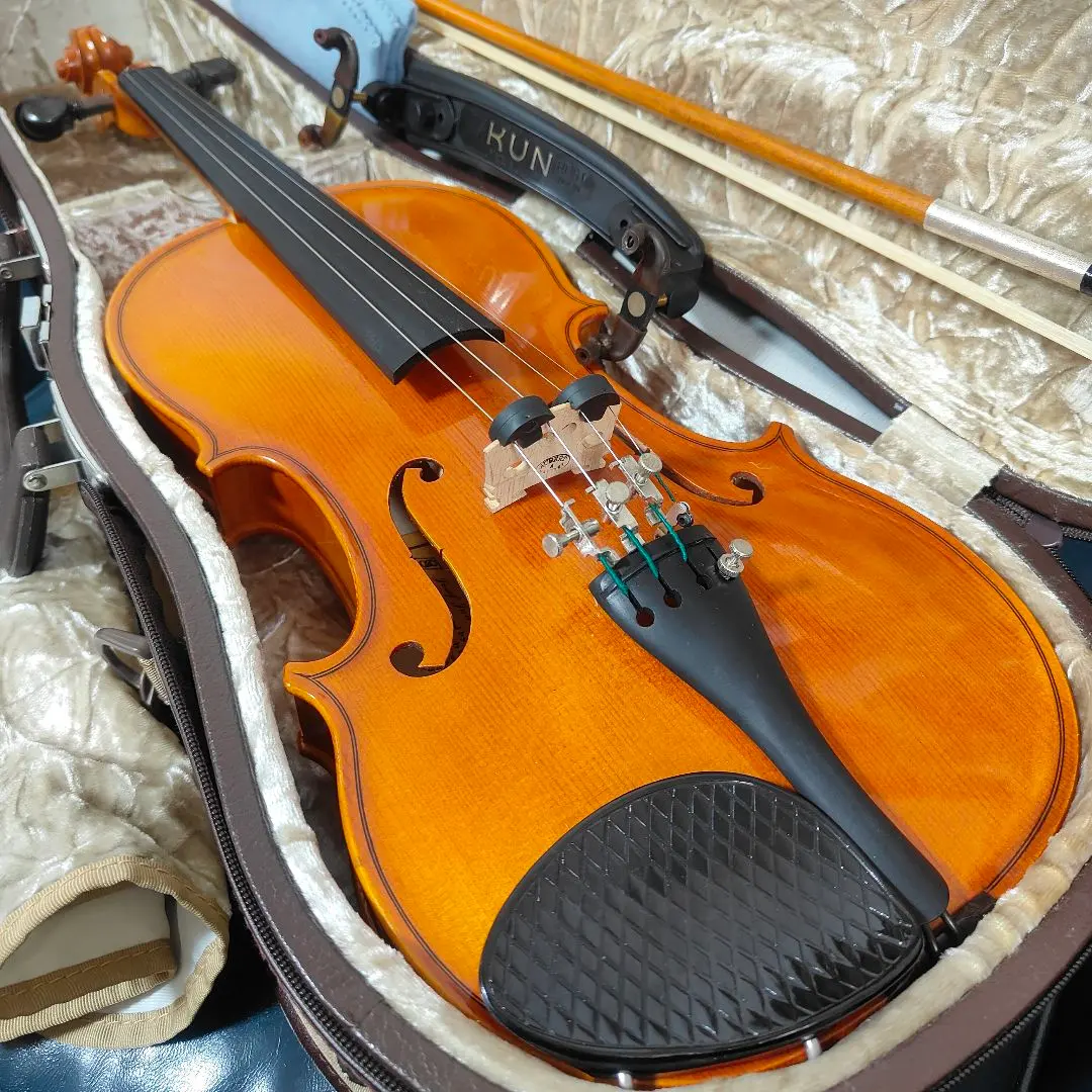 2026年最新】バイオリン チェコ製の人気アイテム - メルカリ