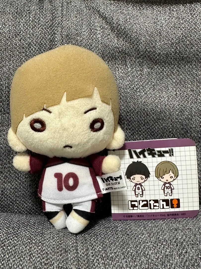 2026年最新】白布 にとたん ぬいぐるみの人気アイテム - メルカリ