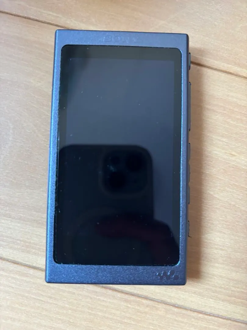 2026年最新】ソニー ウォークマン Aシリーズ 16GB NW-A35 : Bluetooth