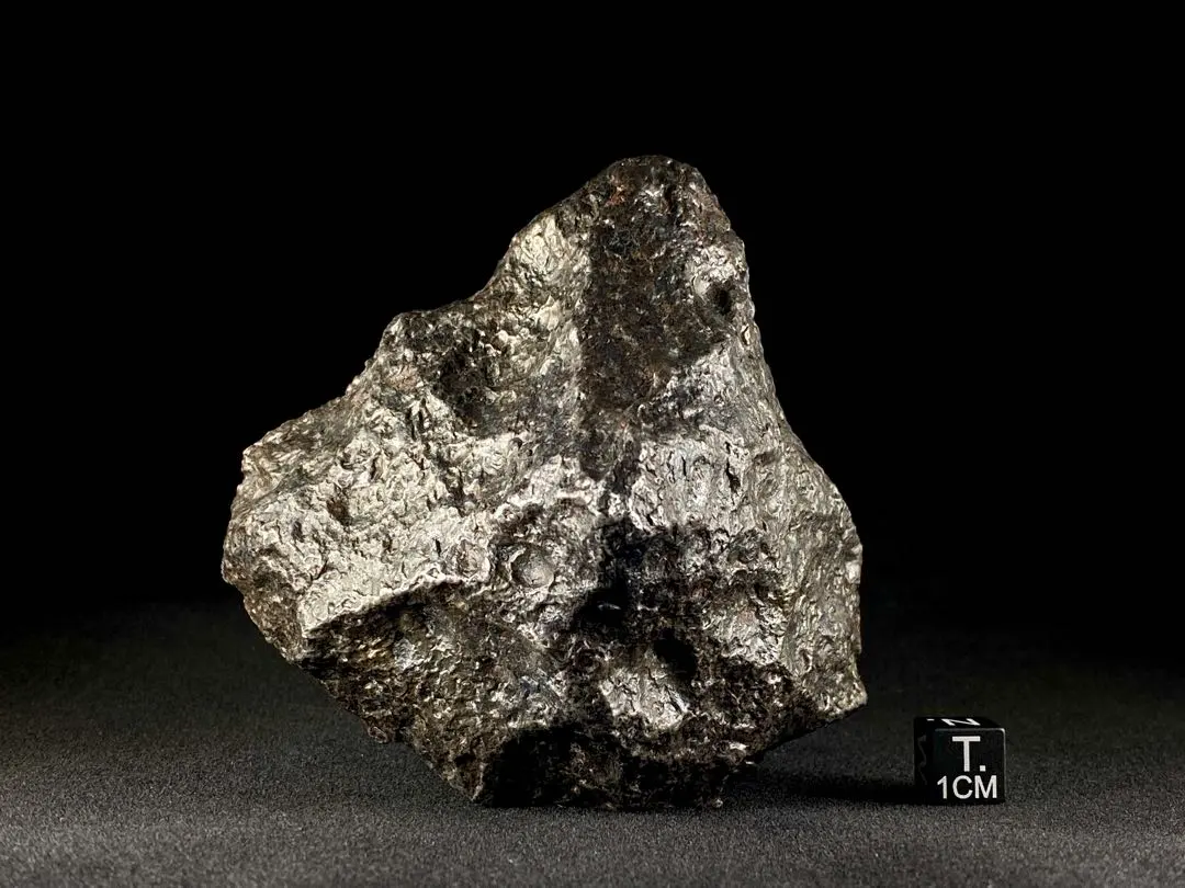 2026年最新】カンポ・デル・シエロ隕石の人気アイテム - メルカリ