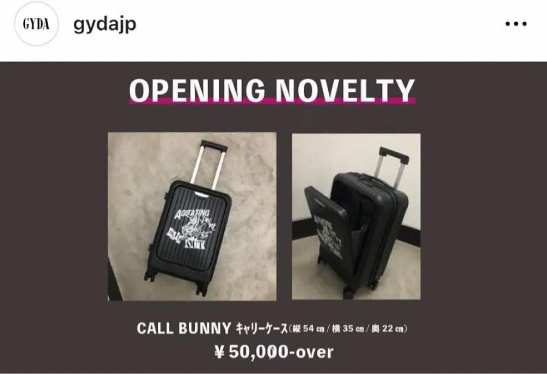 2026年最新】GYDA キャリーケースの人気アイテム - メルカリ