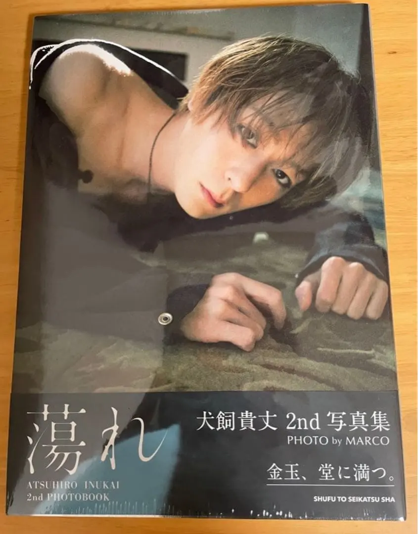2026年最新】犬飼貴丈 写真集の人気アイテム - メルカリ
