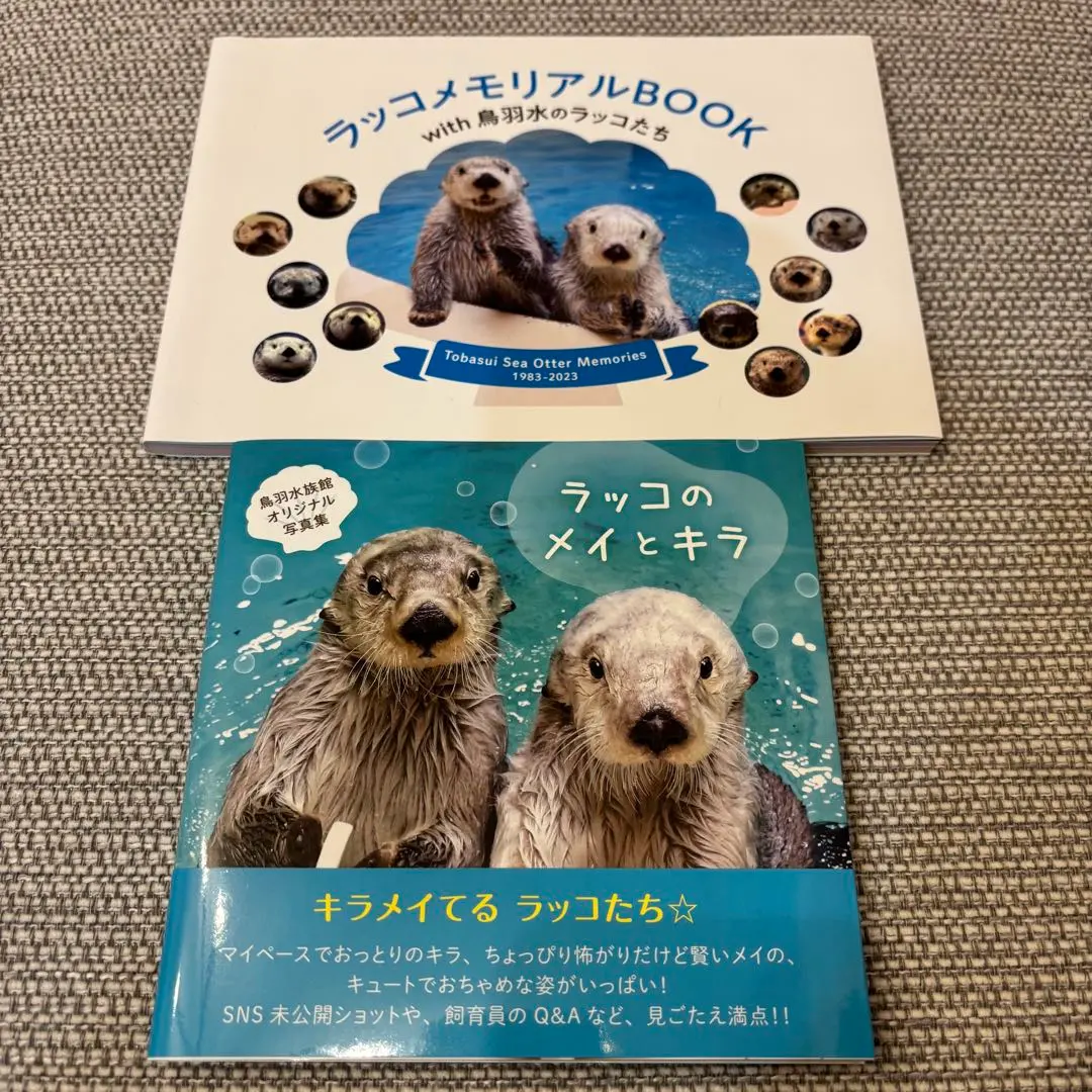 2026年最新】ラッコのメイ 写真集の人気アイテム - メルカリ
