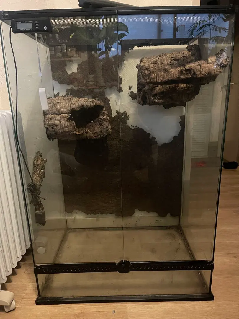 2026年最新】レインフォレストタンクの人気アイテム - メルカリ