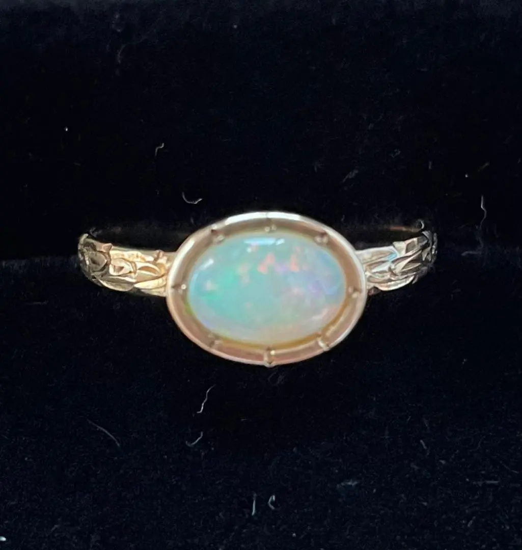 2026年最新】タツオナガハタの人気アイテム - メルカリ