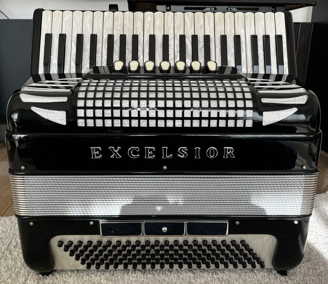 2026年最新】excelsior 308の人気アイテム - メルカリ