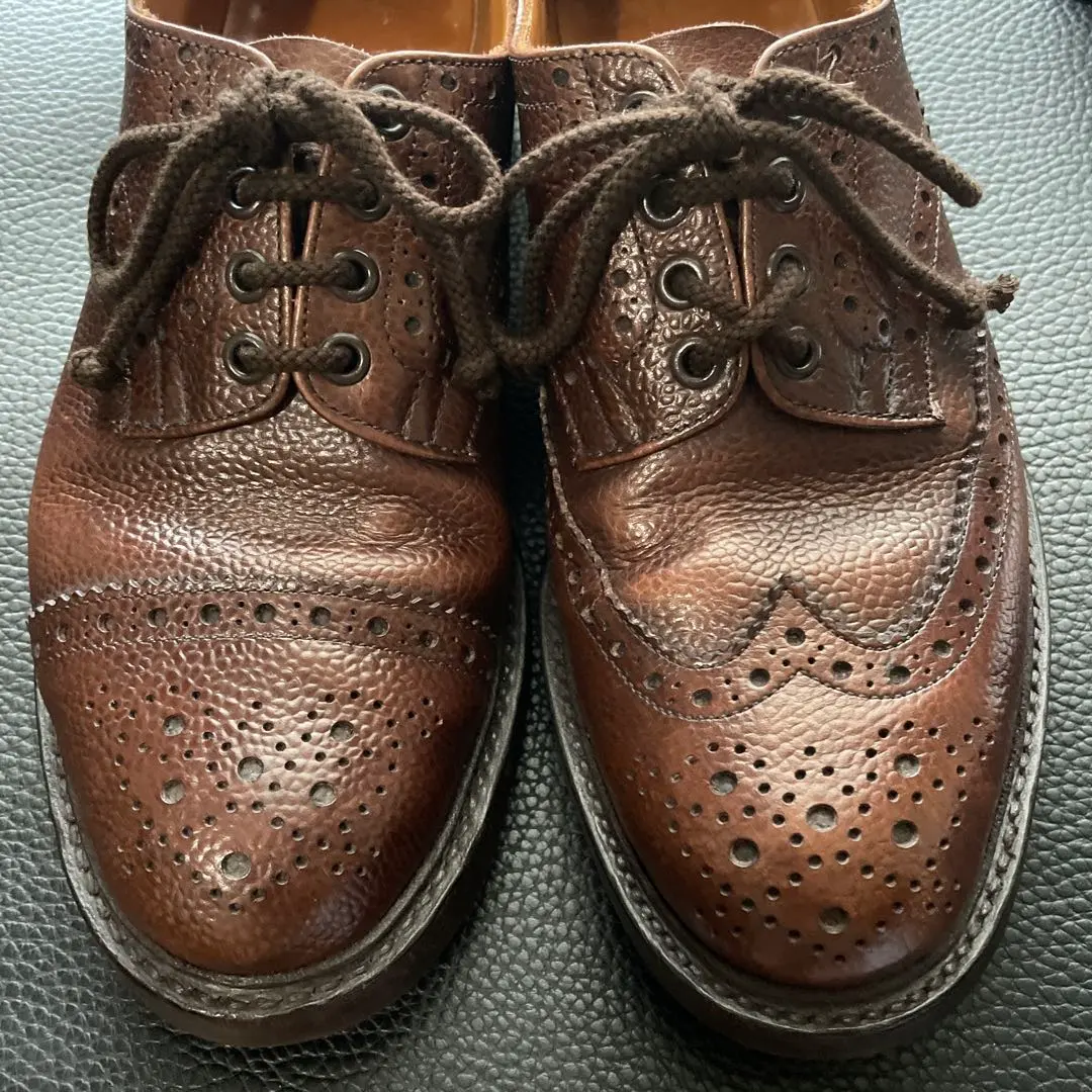 2026年最新】ネペンテス トリッカーズの人気アイテム - メルカリ