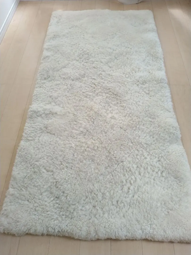 2026年最新】東洋羽毛 アリエスカバーの人気アイテム - メルカリ