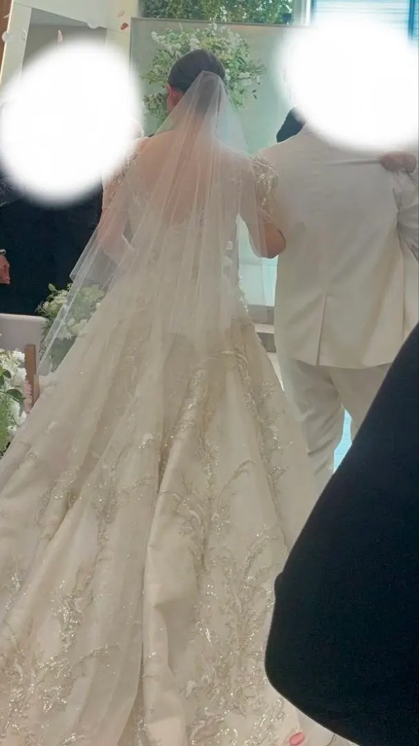 2026年最新】トリートドレッシング ベール 蝶の人気アイテム - メルカリ