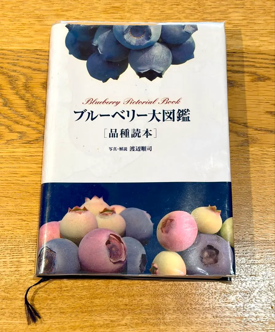 2026年最新】ブルーベリー大図鑑の人気アイテム - メルカリ
