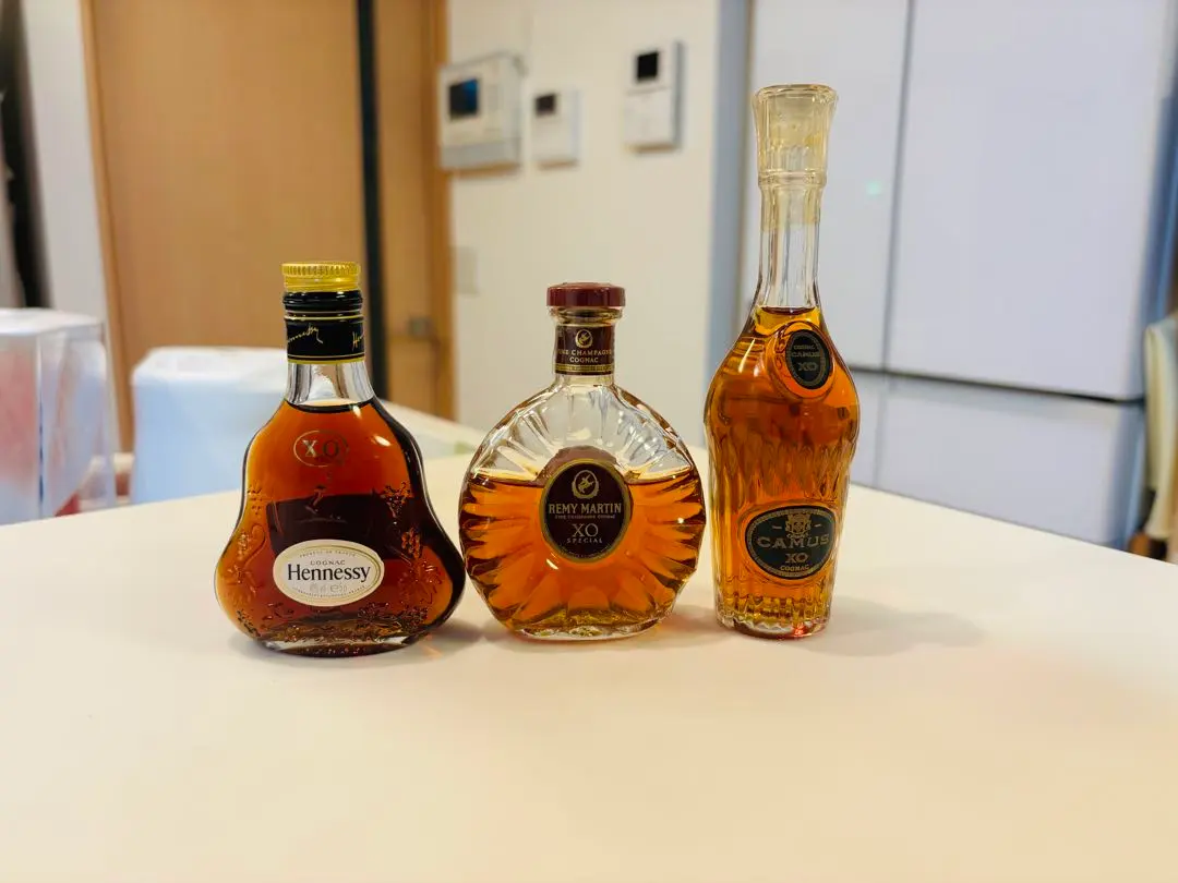 2026年最新】camus xo ミニの人気アイテム - メルカリ