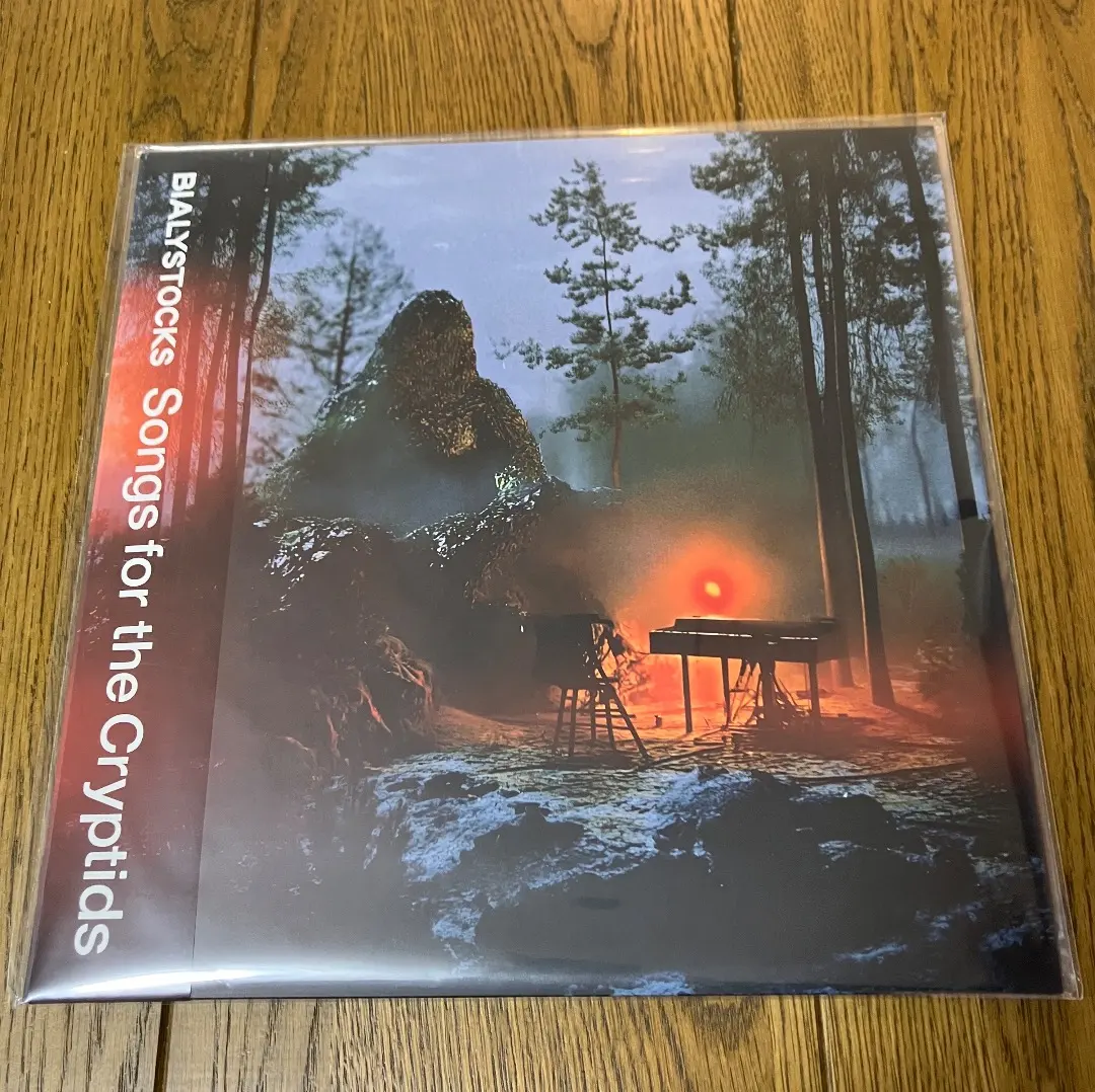 2026年最新】BIALYSTOCKS レコードの人気アイテム - メルカリ