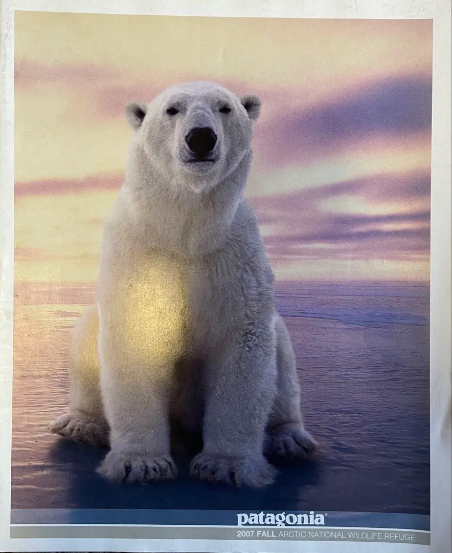 2026年最新】パタゴニア カタログ 1997の人気アイテム - メルカリ
