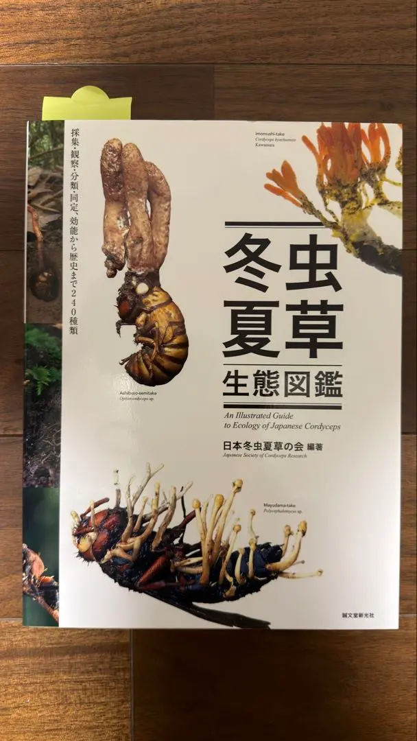 2026年最新】冬虫夏草図鑑の人気アイテム - メルカリ