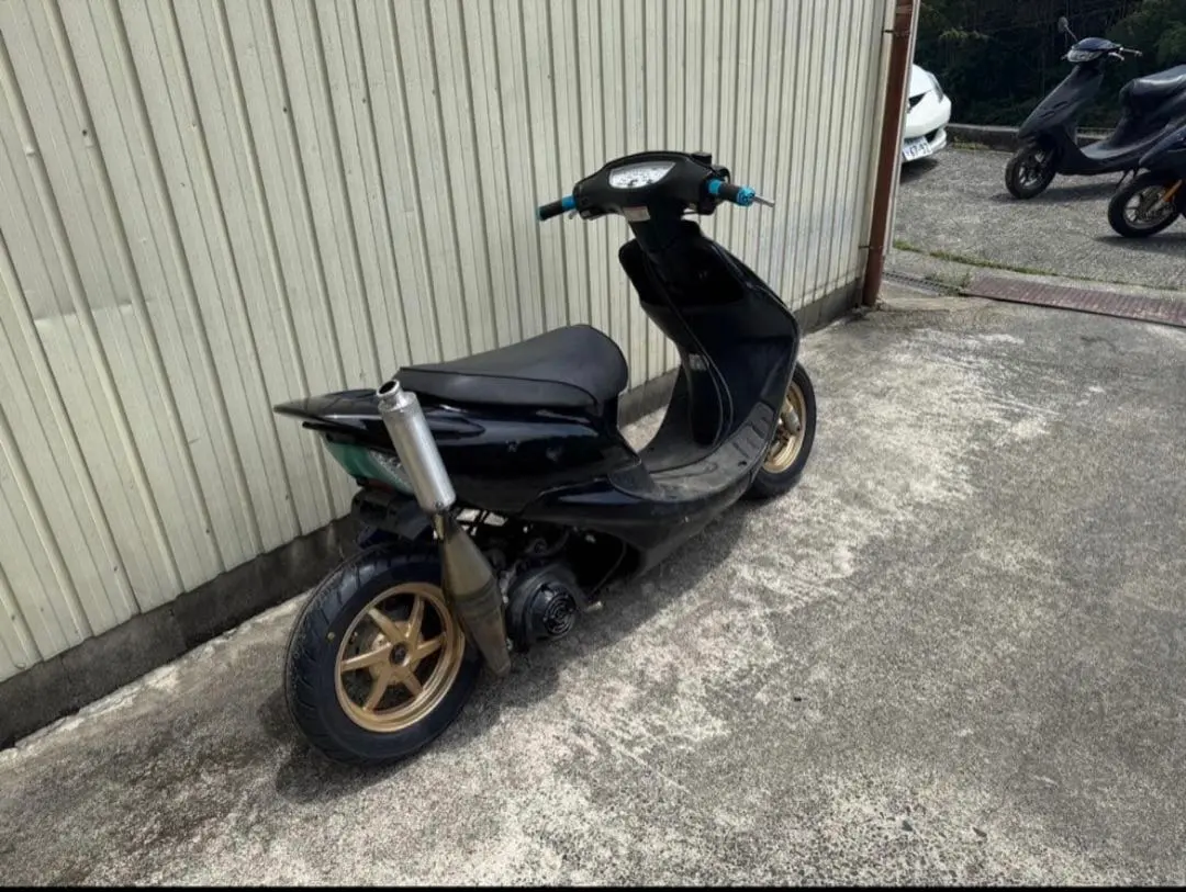 2026年最新】カメレオンファクトリーチャンバーの人気アイテム - メルカリ