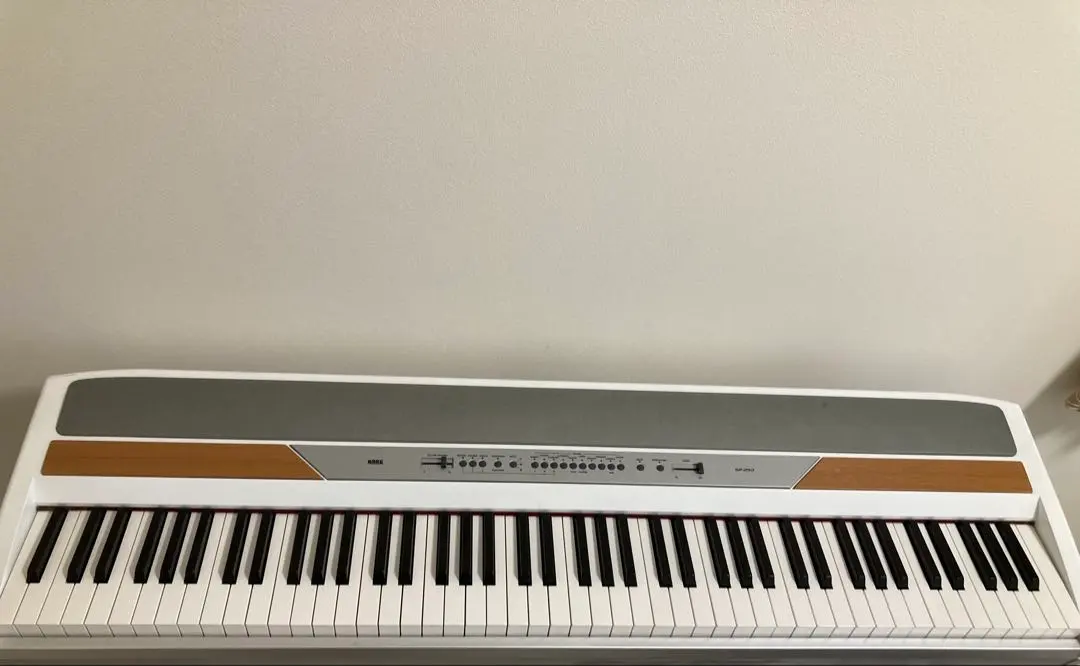 2026年最新】sp-250 korgの人気アイテム - メルカリ