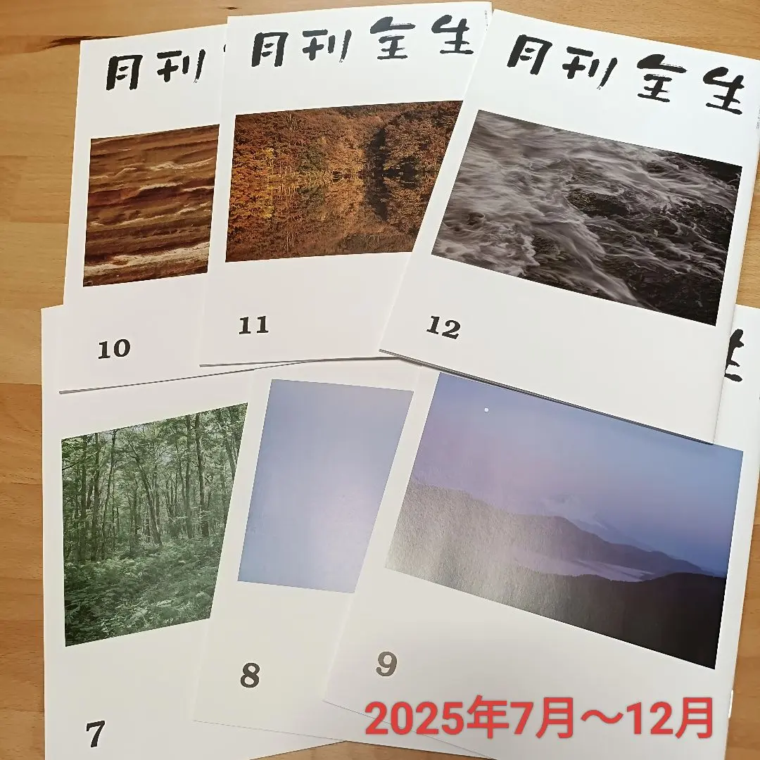 2026年最新】月刊全生の人気アイテム - メルカリ