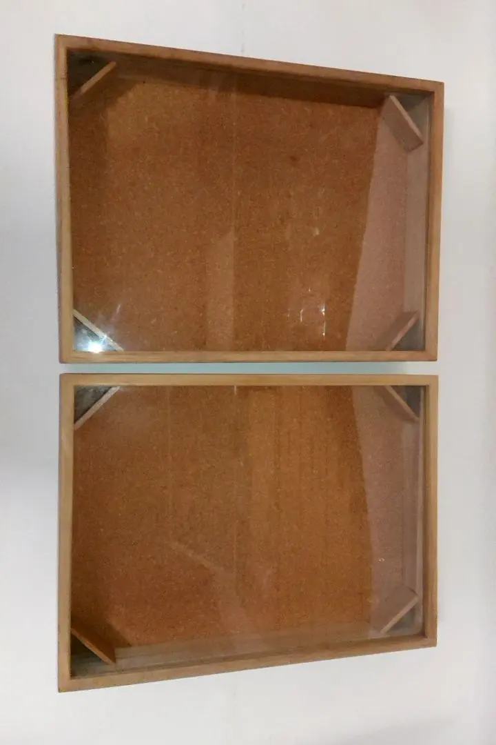 2026年最新】標本箱 ドイツの人気アイテム - メルカリ