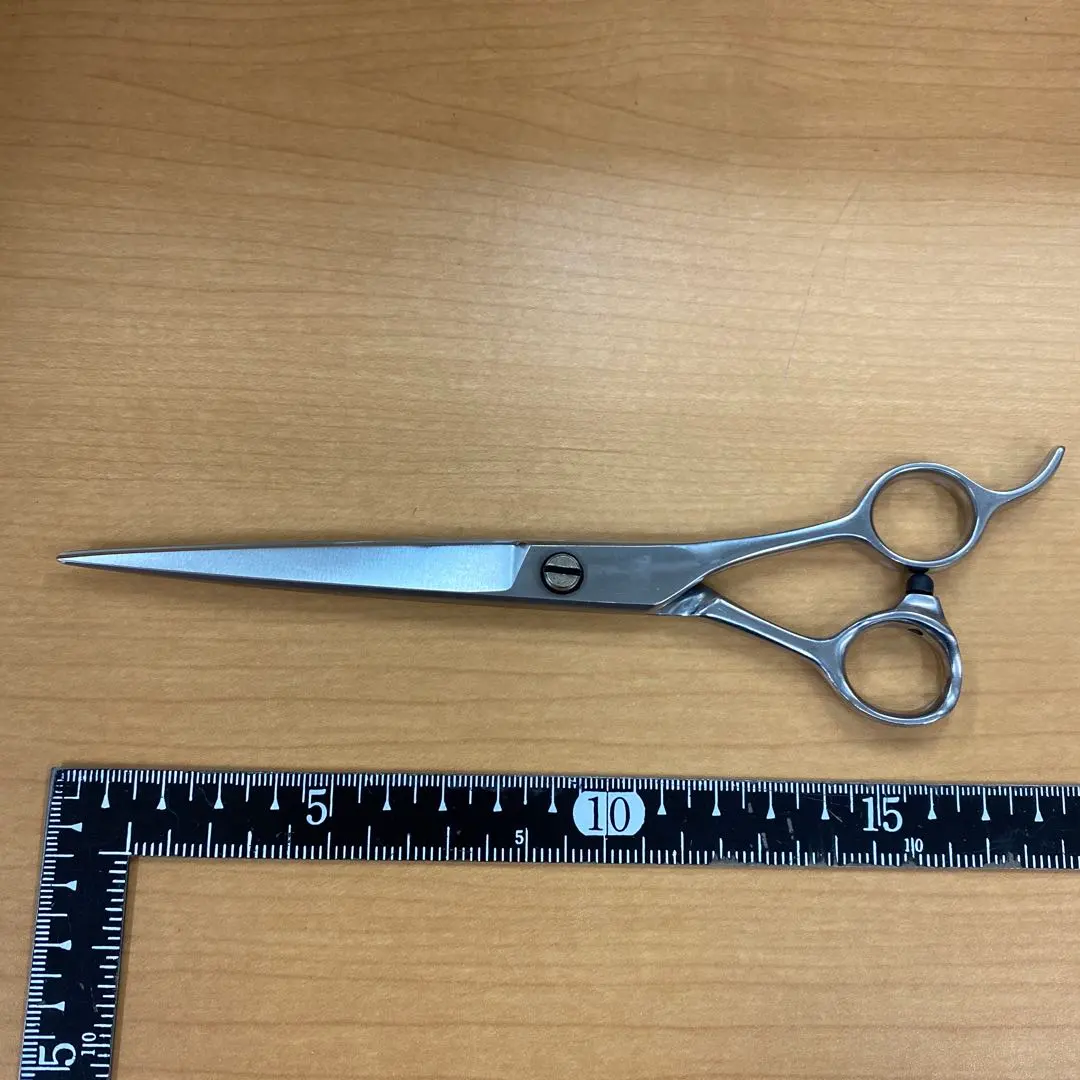 2026年最新】天洋 シザーの人気アイテム - メルカリ