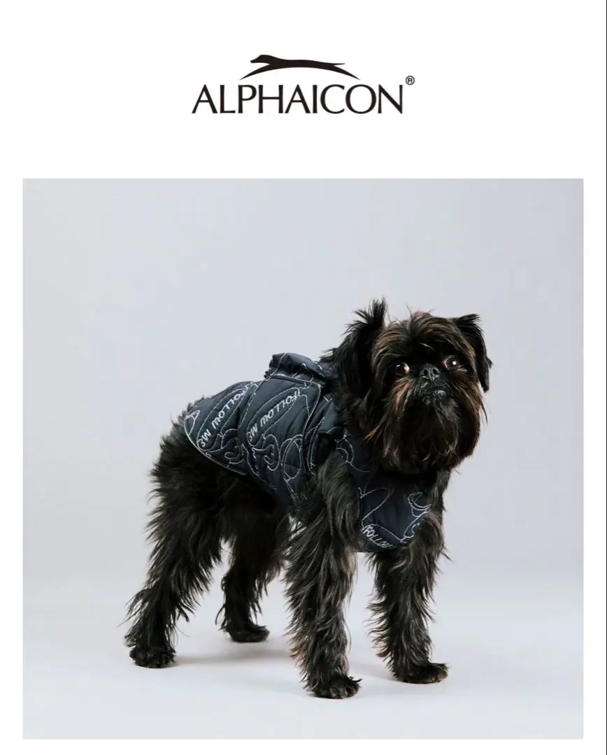 2026年最新】アルファアイコン エアライナーの人気アイテム - メルカリ