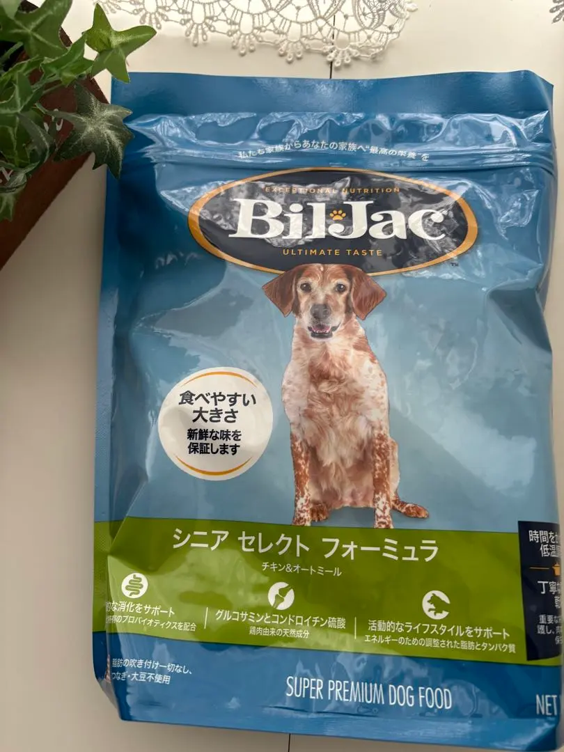 2026年最新】ビルジャック シニアの人気アイテム - メルカリ