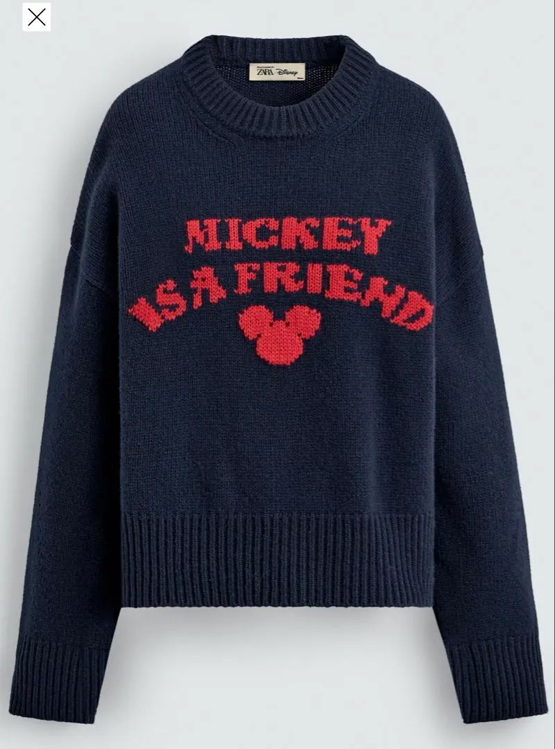 2026年最新】zara ミッキー マフラーの人気アイテム - メルカリ