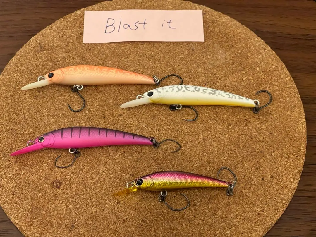 2026年最新】ブラストイットミノーの人気アイテム - メルカリ