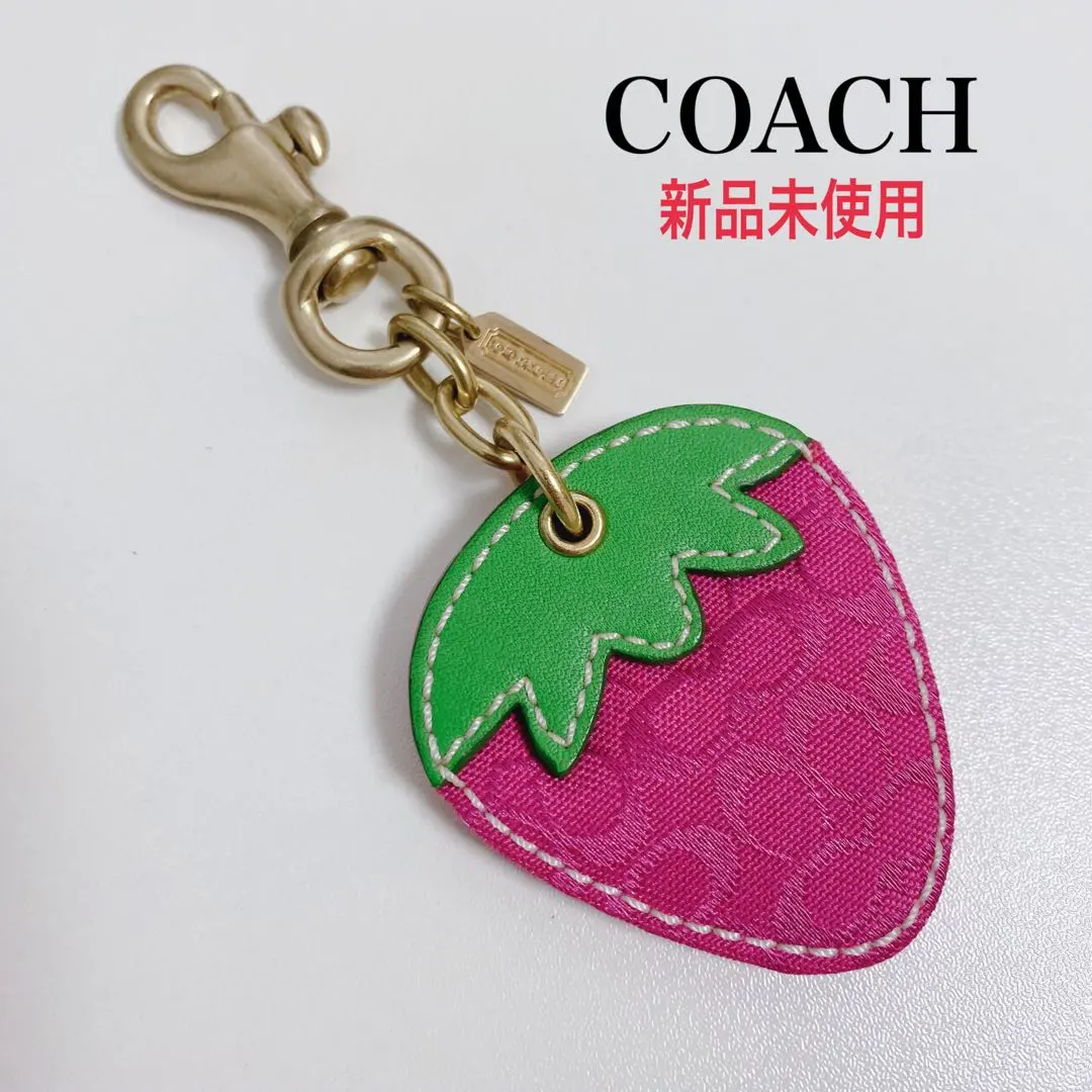 2026年最新】coach いちご キーホルダーの人気アイテム - メルカリ