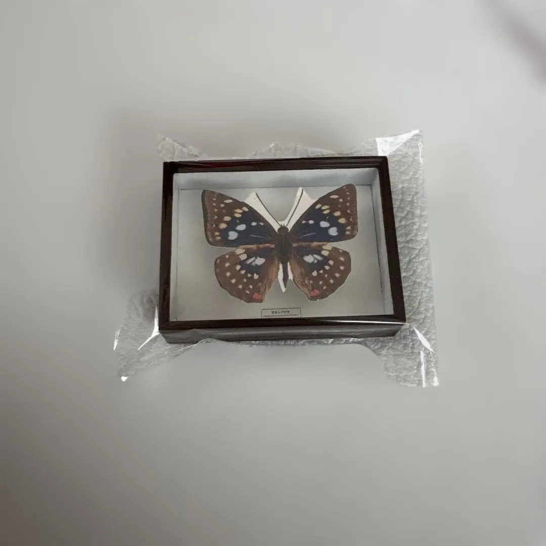 2026年最新】標本箱 ドイツの人気アイテム - メルカリ